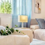 Casa Tulipa By Dracmallorca